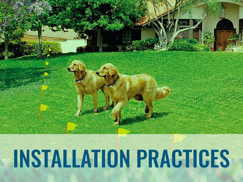 Pet Stop® Dog Fence Invisible Fence Alternative